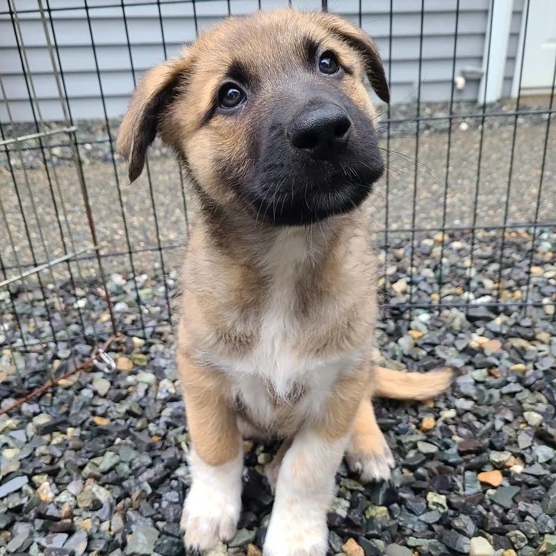 Sprinkle thumbnail 6