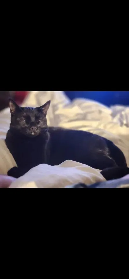 Willy With The Goatee thumbnail 3