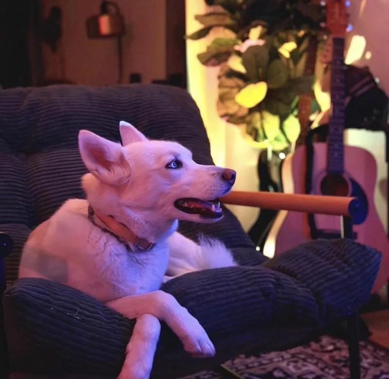 Athena thumbnail 6