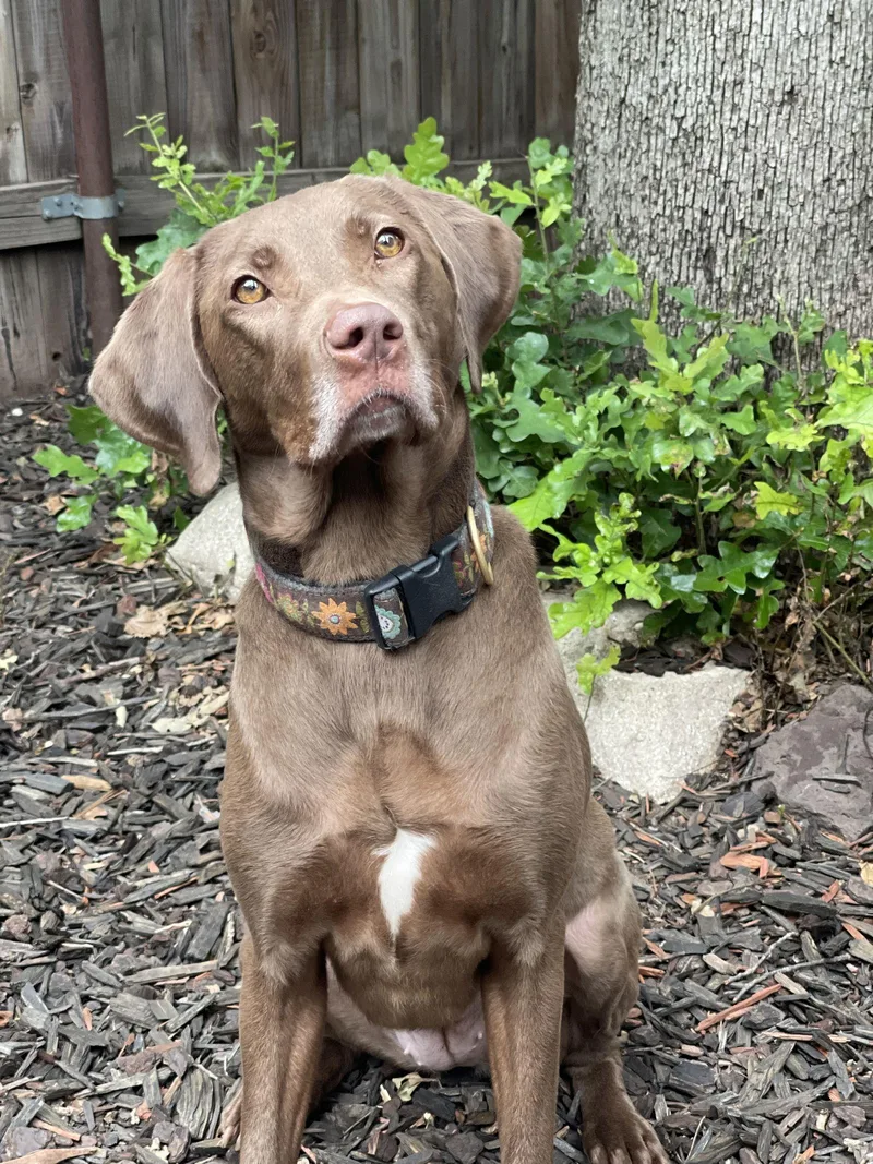 Ella Mae Roo thumbnail 3