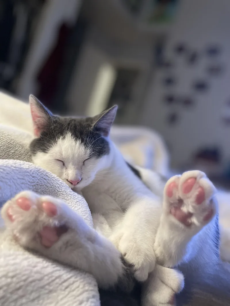 Oliver