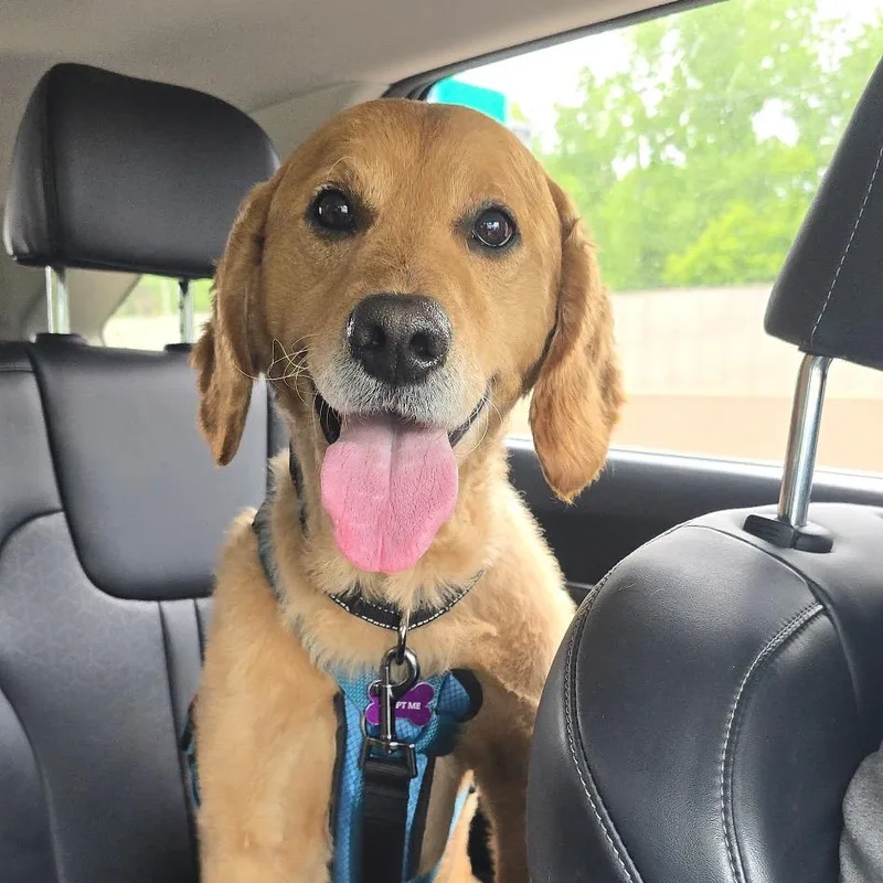 Jax
