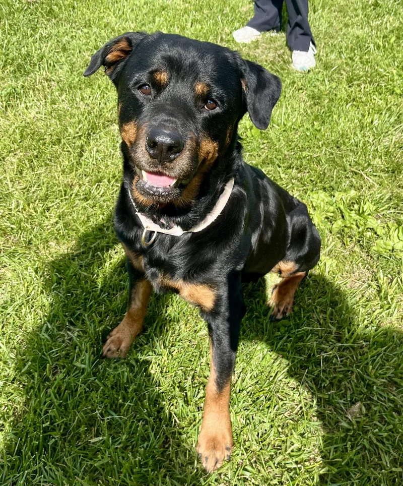 Ruby