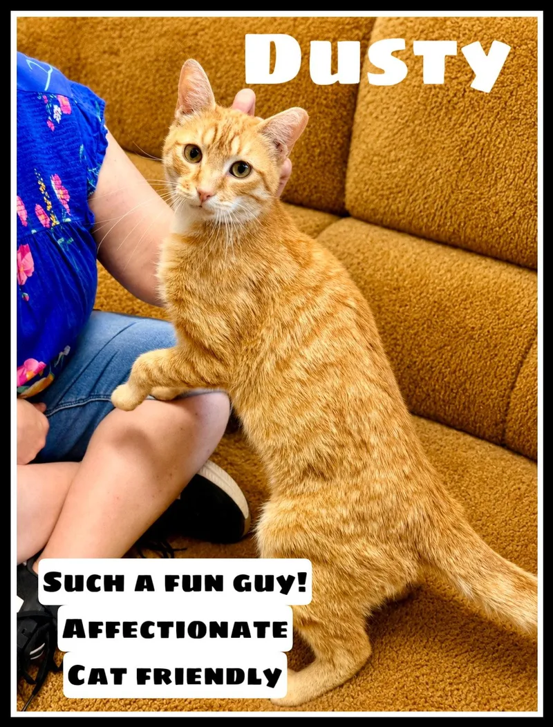 Dustywillow Grove thumbnail 2