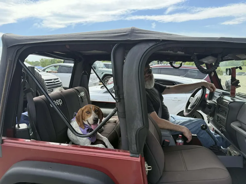 Lil Spork thumbnail 4