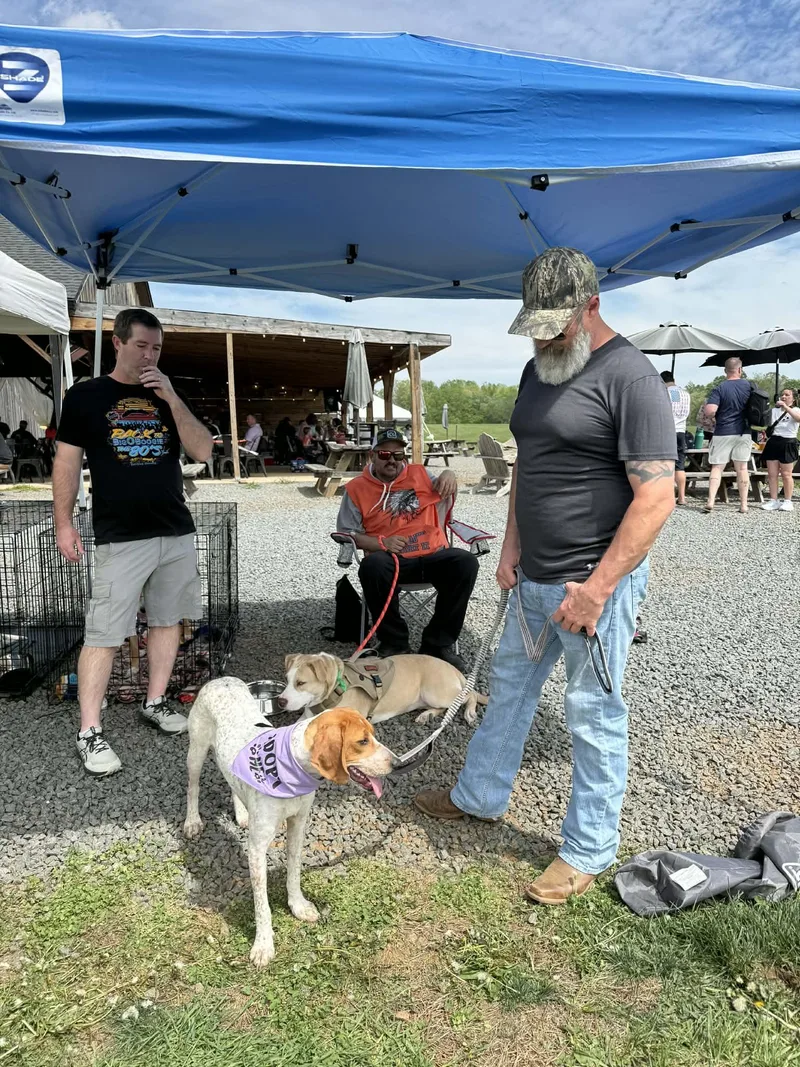 Lil Spork thumbnail 5