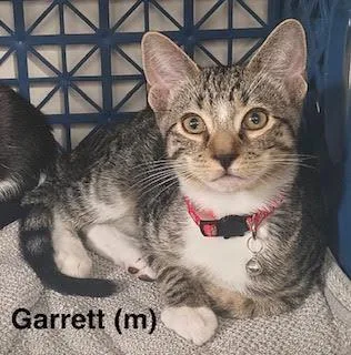 Garrett
