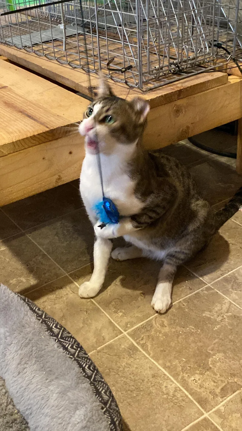 Friendly Boy thumbnail 2