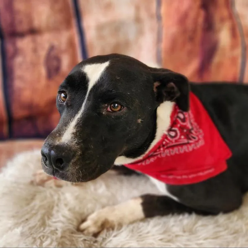 Koda Jum thumbnail 2