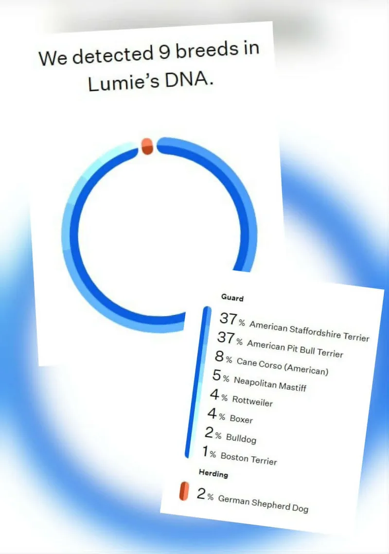 Lumie thumbnail 3