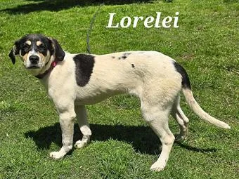 Lorelei thumbnail 4