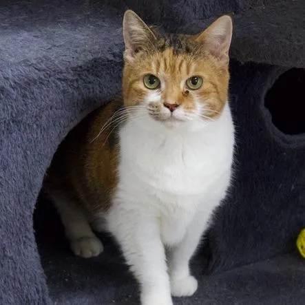 Daisy Mae thumbnail 4