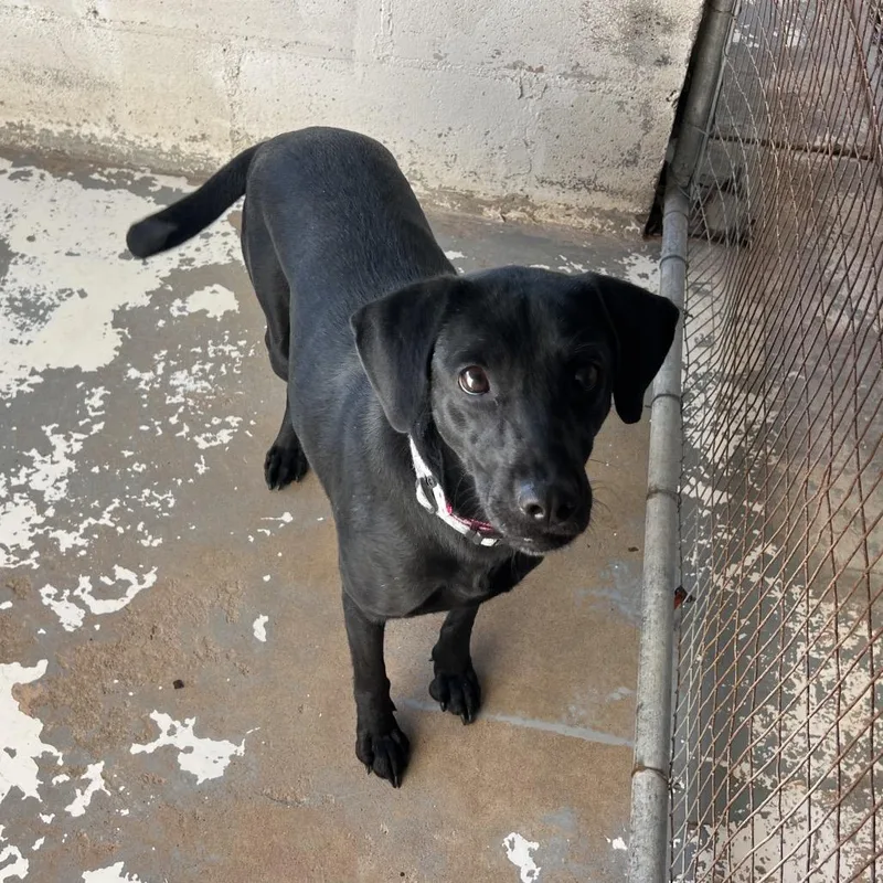 Fruitcake thumbnail 2