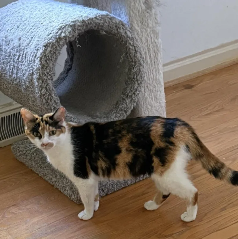 Sabrina