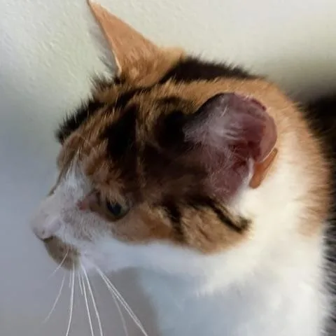 Sabrina thumbnail 5