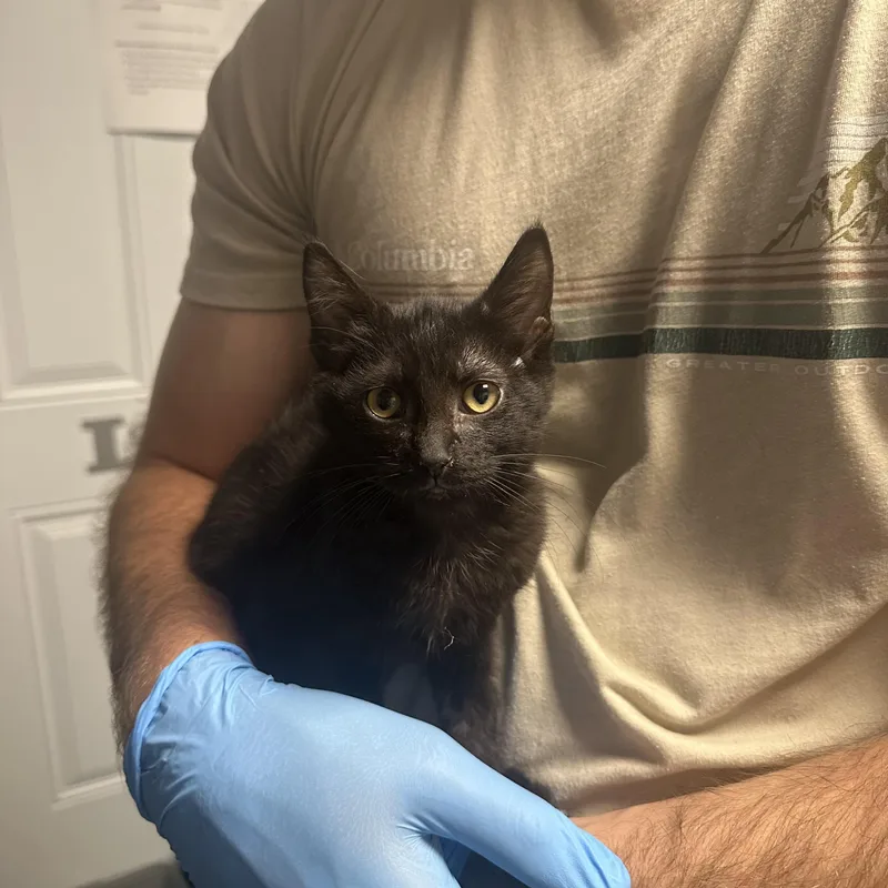 Lil Debbie thumbnail 3