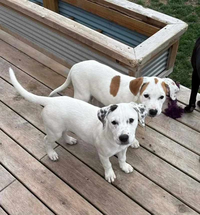 Marykate thumbnail 2