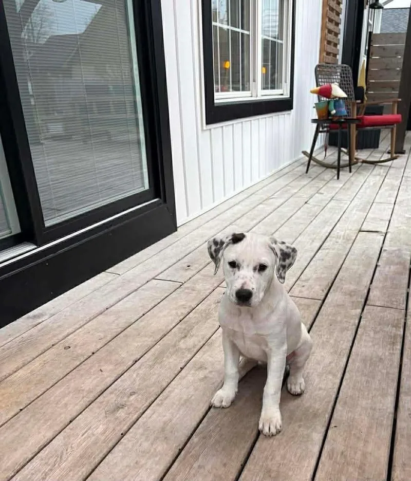 Marykate thumbnail 3