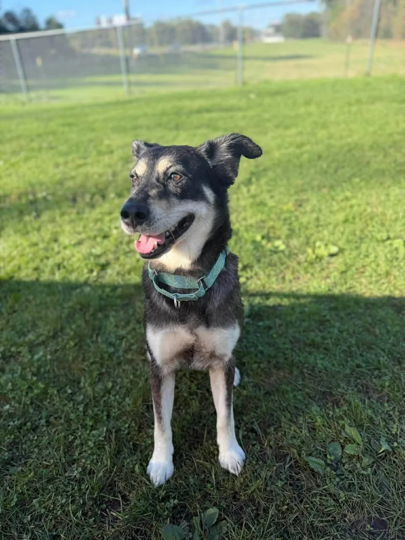 Stella Mae thumbnail 2