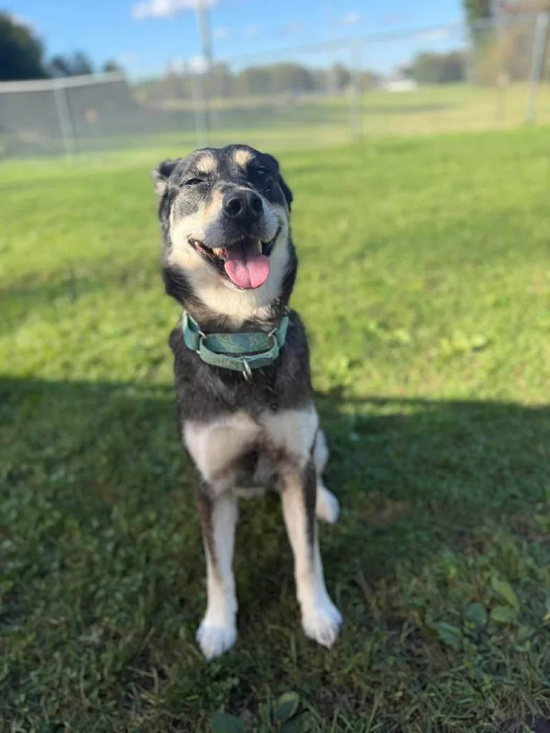 Stella Mae thumbnail 3