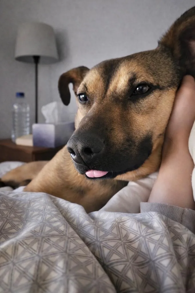 Bradley  Local thumbnail 2