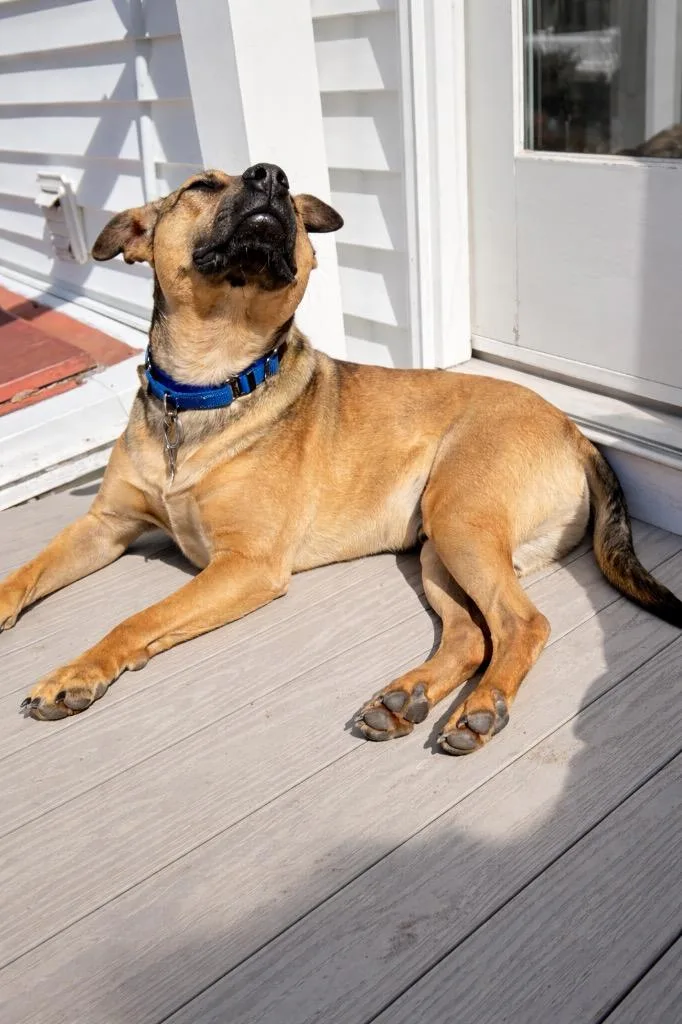 Bradley  Local thumbnail 3