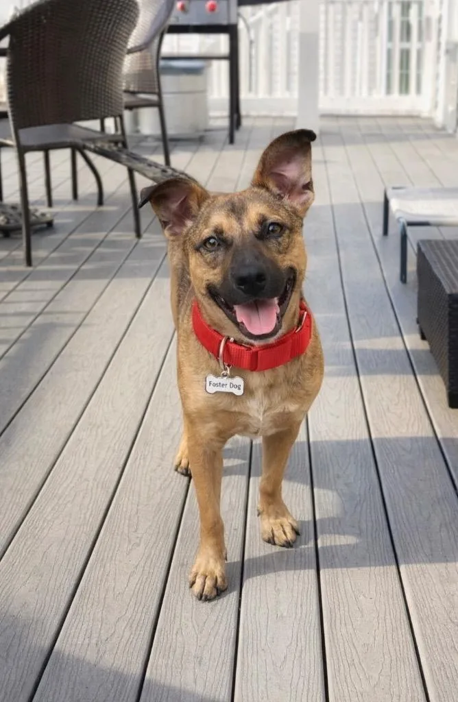 Bradley  Local thumbnail 4