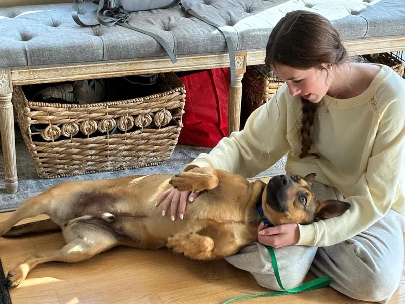 Bradley  Local thumbnail 5