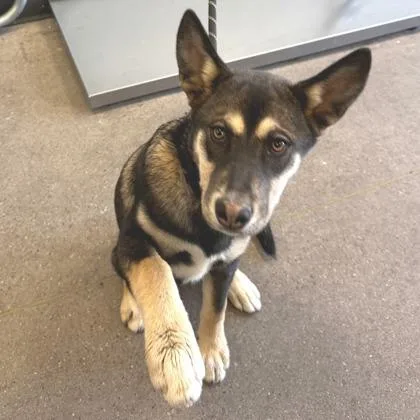 Julietta thumbnail 2