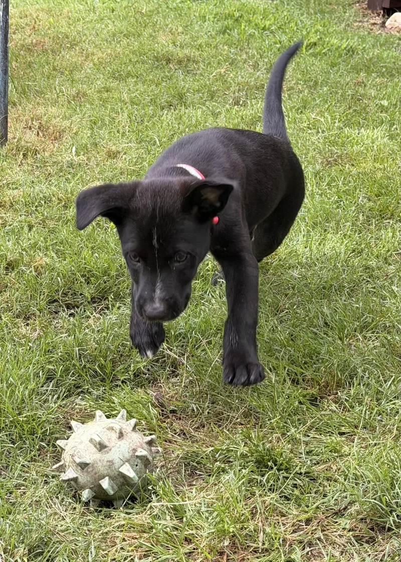 Freya Valley thumbnail 3