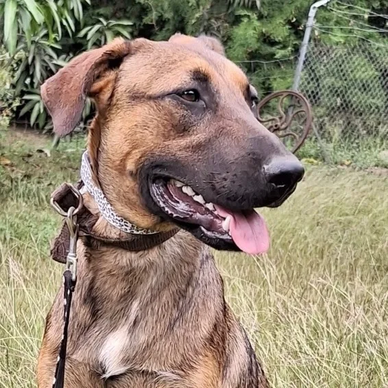 Chester Ray "they Call