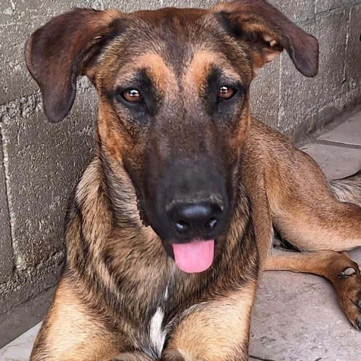 Chester Ray "they Call thumbnail 3