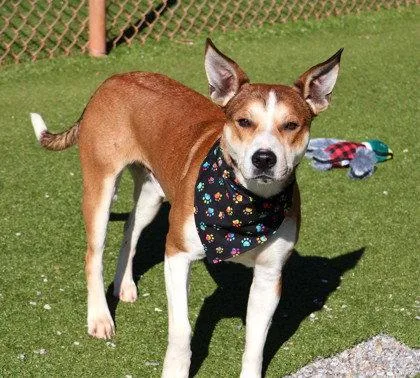 Pointy Athens thumbnail 2