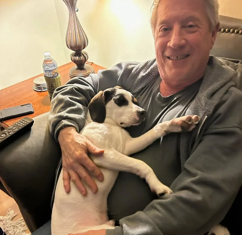 Andy Puppy thumbnail 5
