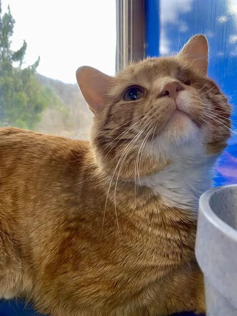 Marvin