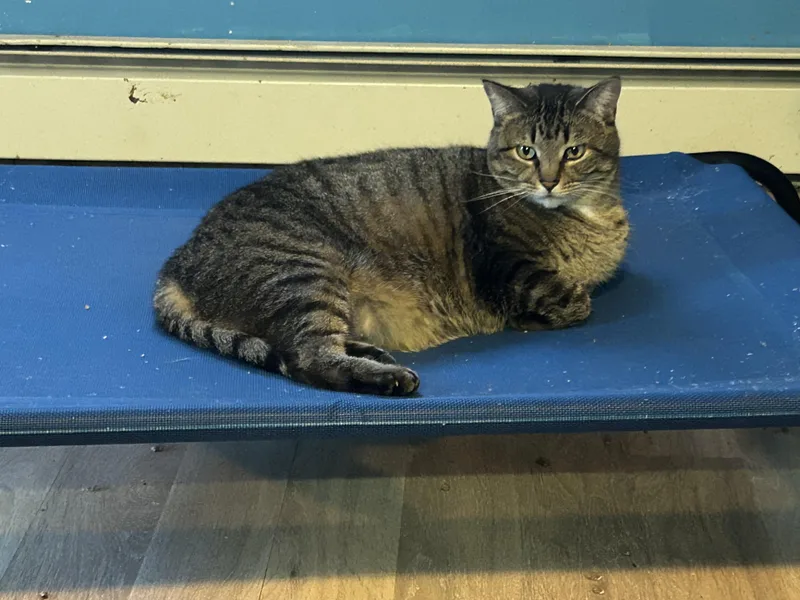 Cash & Jolene thumbnail 2