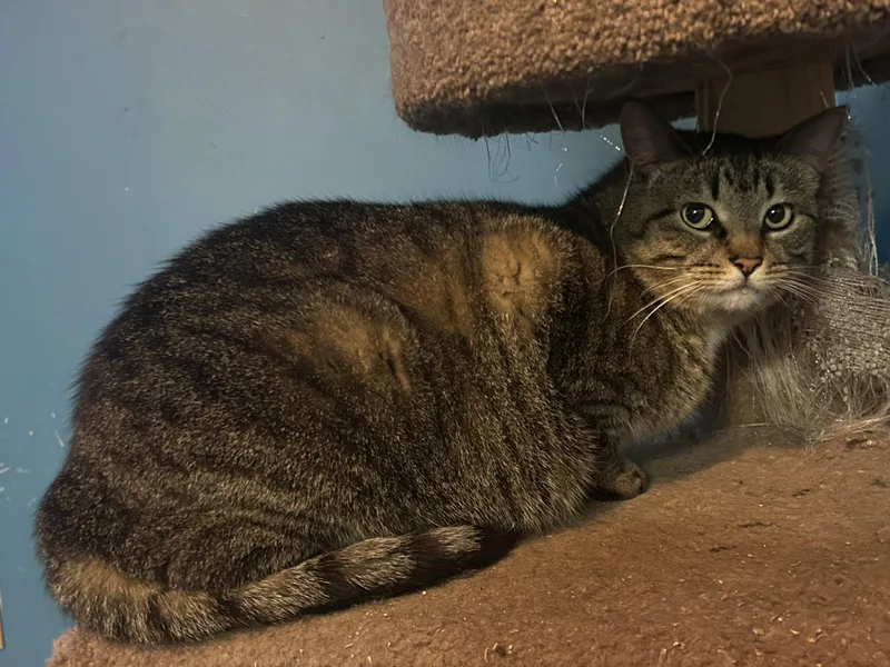 Cash & Jolene thumbnail 4