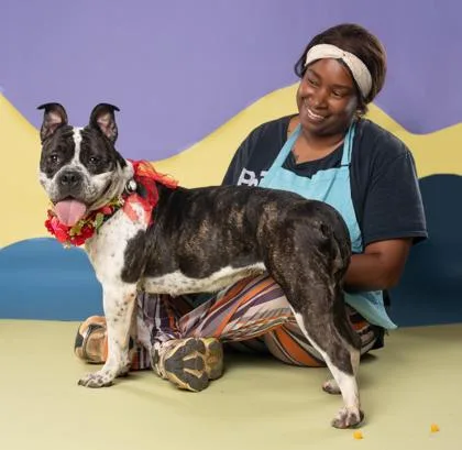 An adult large-sized female Mixed Breed dog named Precious for adoption in Atlanta, GA