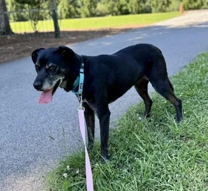 Maggie