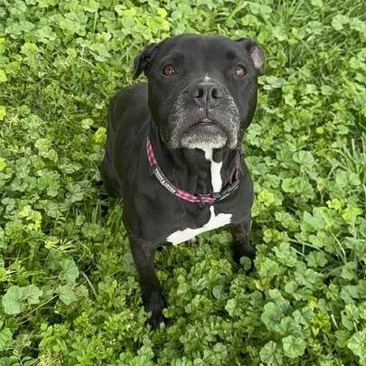 Ivy Rose thumbnail 2