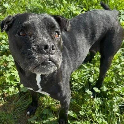 Ivy Rose thumbnail 3