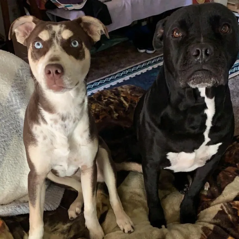 Ivy Rose thumbnail 4