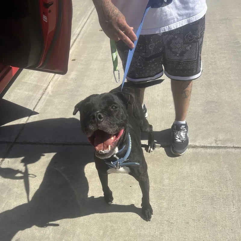 Ivy Rose thumbnail 6