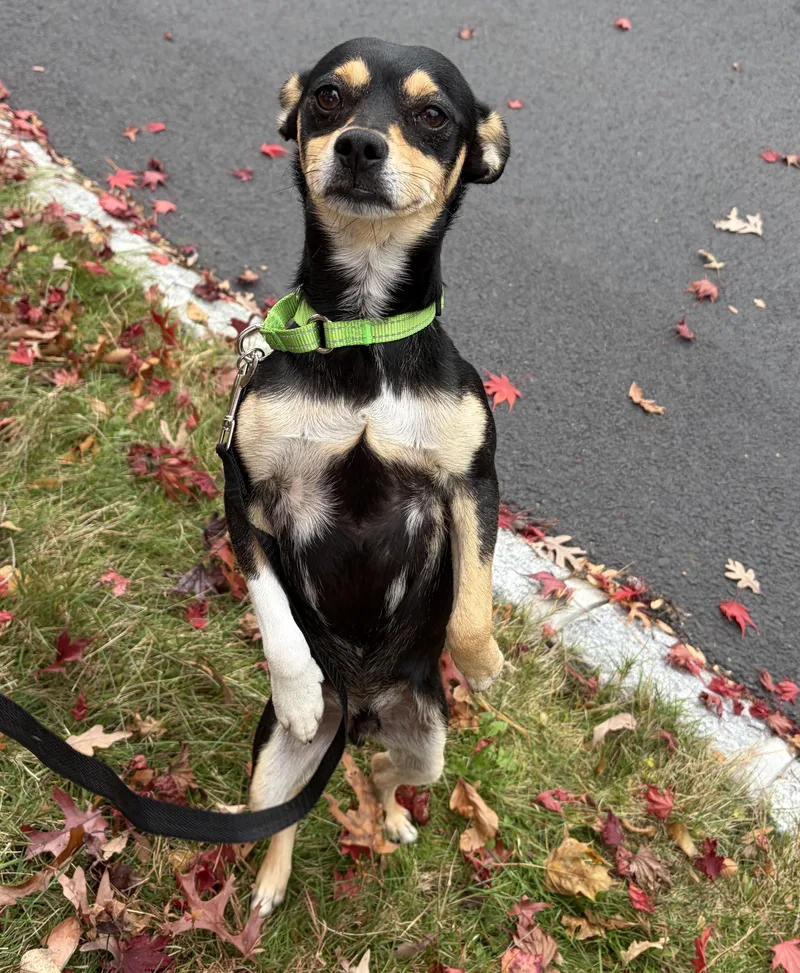 Hotlanta thumbnail 2