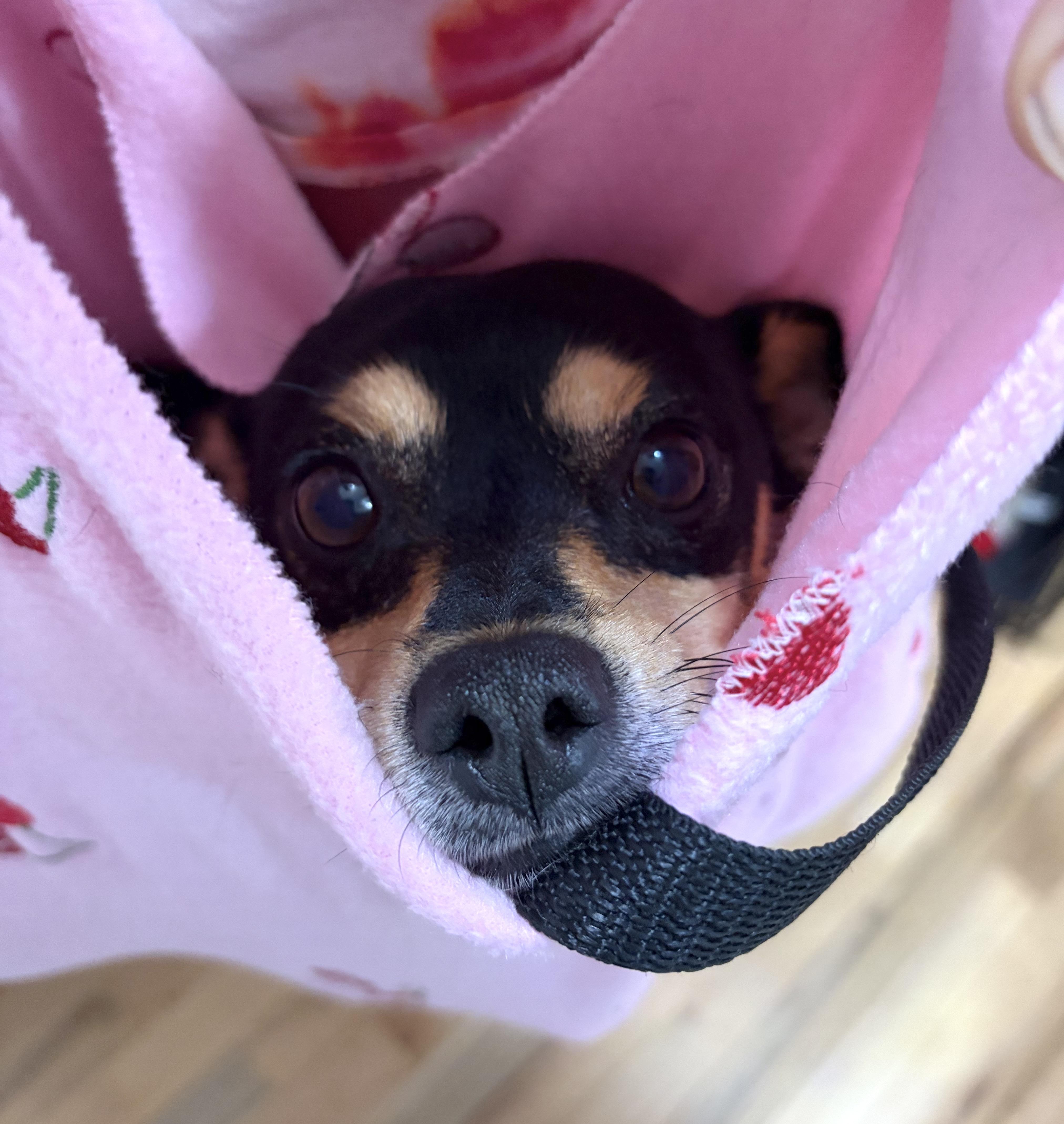 Hotlanta thumbnail 5