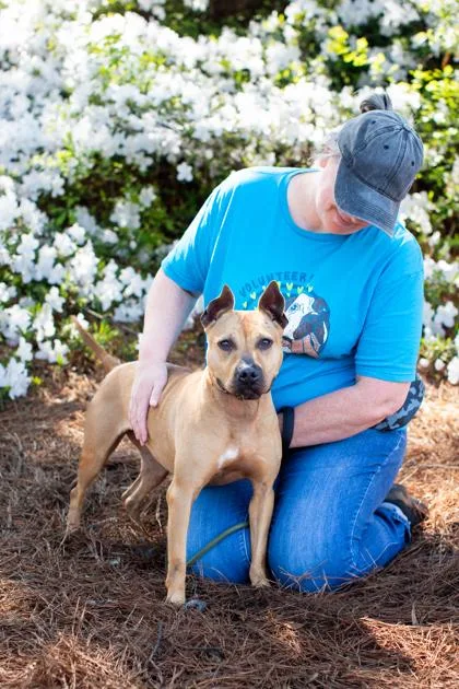 Lemonancy thumbnail 2