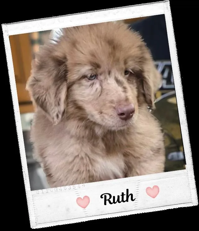 Ruth