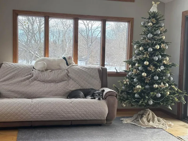 Razzle Dazzle thumbnail 3