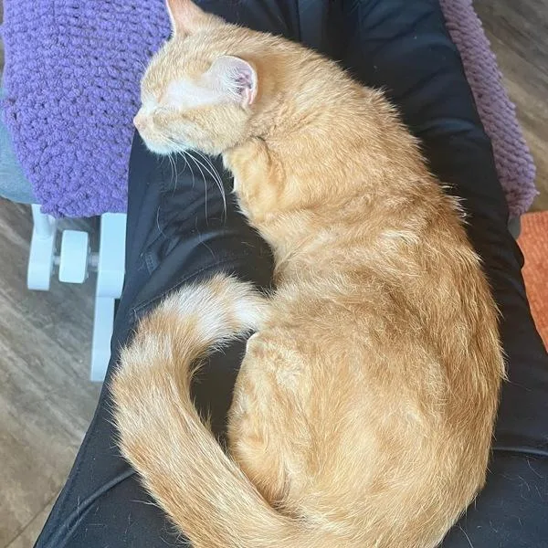 Maggie