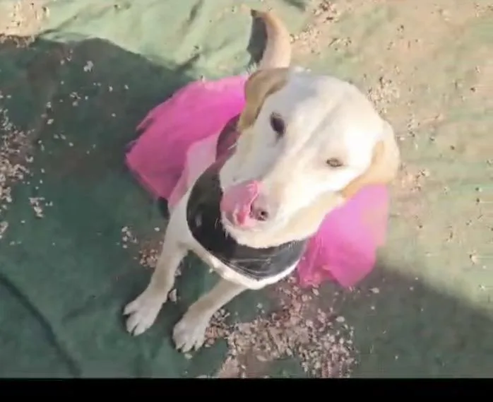 Lexi thumbnail 2
